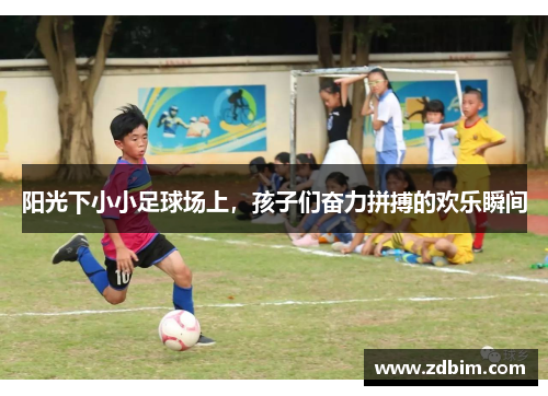 阳光下小小足球场上，孩子们奋力拼搏的欢乐瞬间